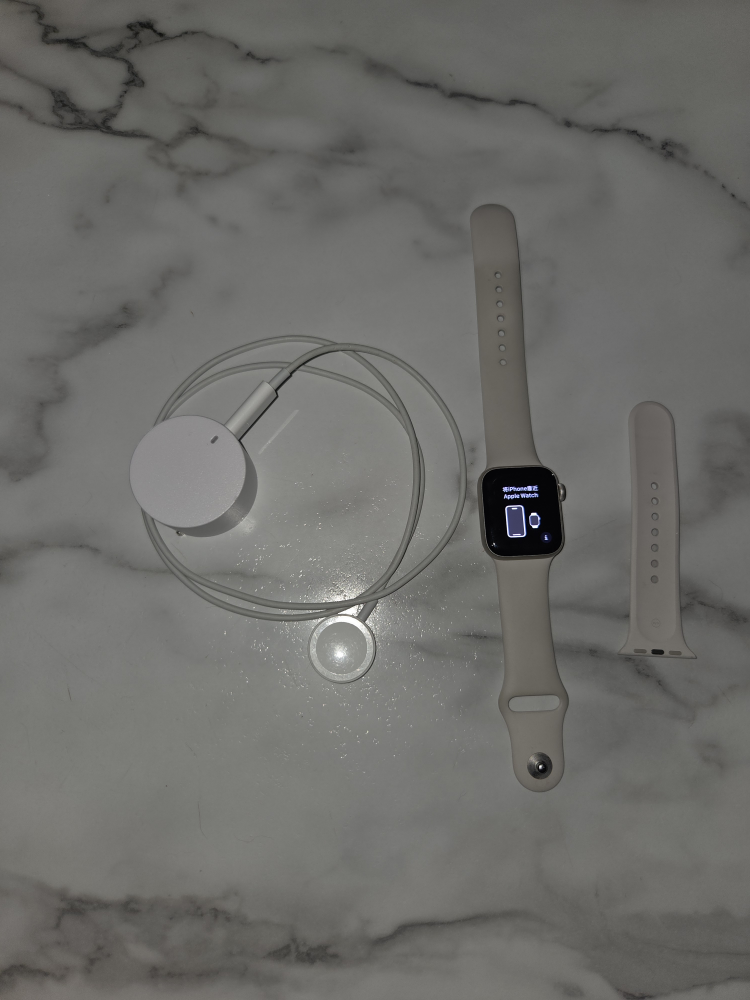 Apple Watch Series SE - 40mm -  + Charger