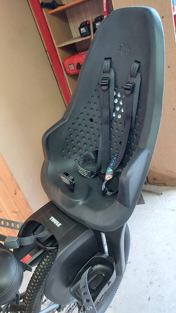 Thule Yepp 2 Maxi Child Bike Seat - photo 5