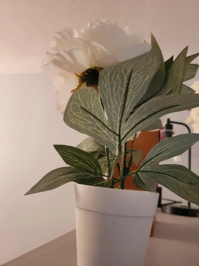 flower image indicator(3)