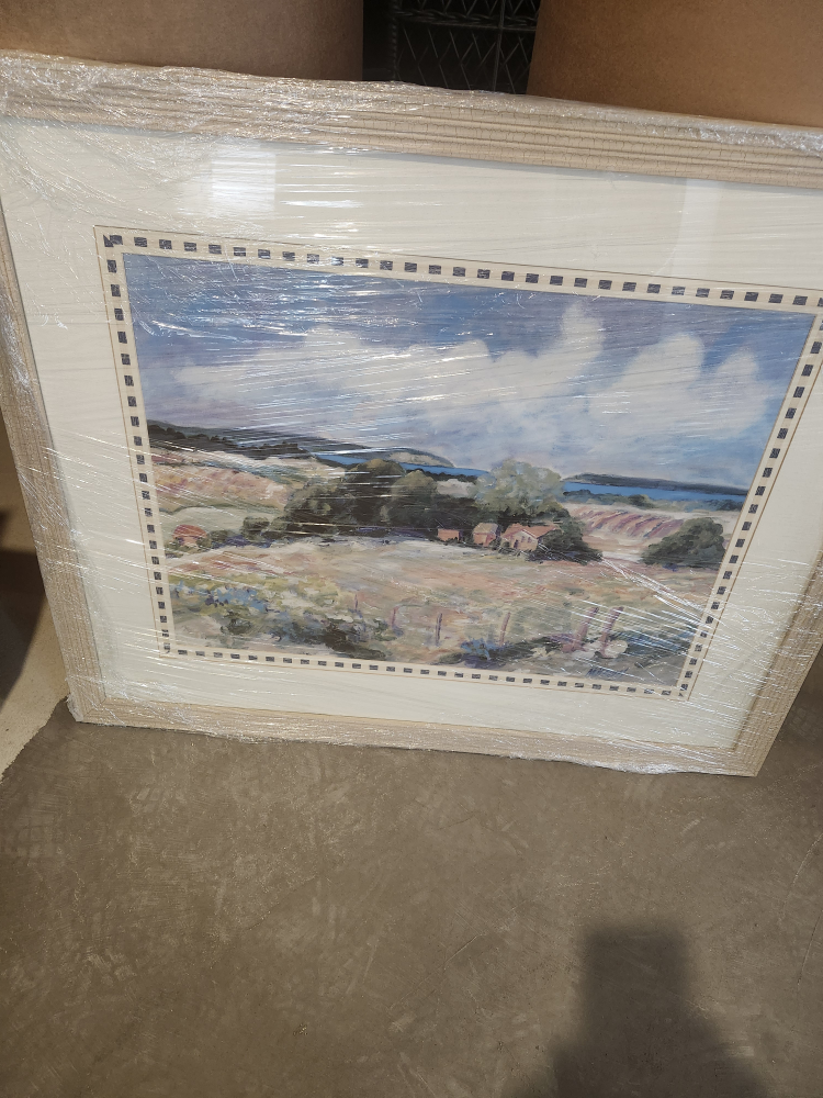 Framed Landscape Painting