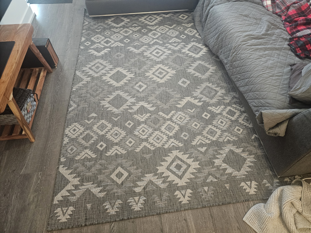 indoor outdoor carpet