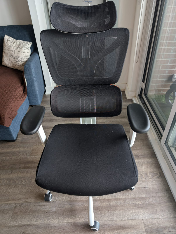 Ergonomic Mesh Office Chair with Headrest