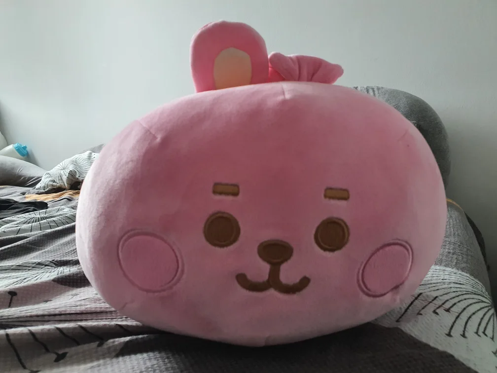 BT21 Cooky Plush Pillow image indicator(2)