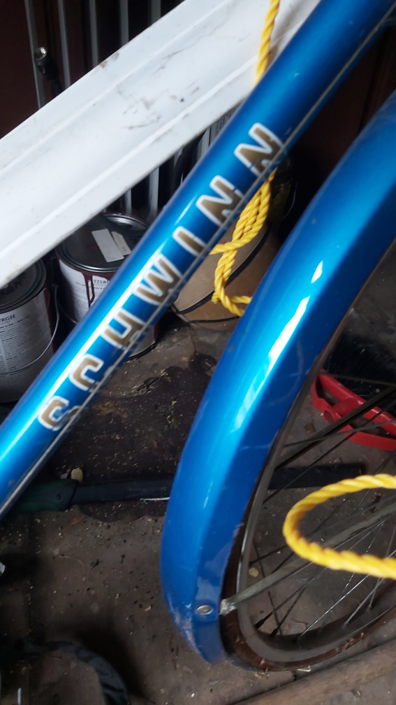 Vintage Schwinn Bicycle - Blue