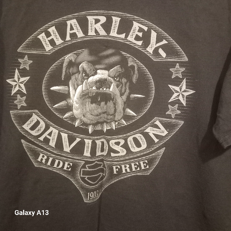 Vintage Harley-Davidson T-Shirts - photo 5