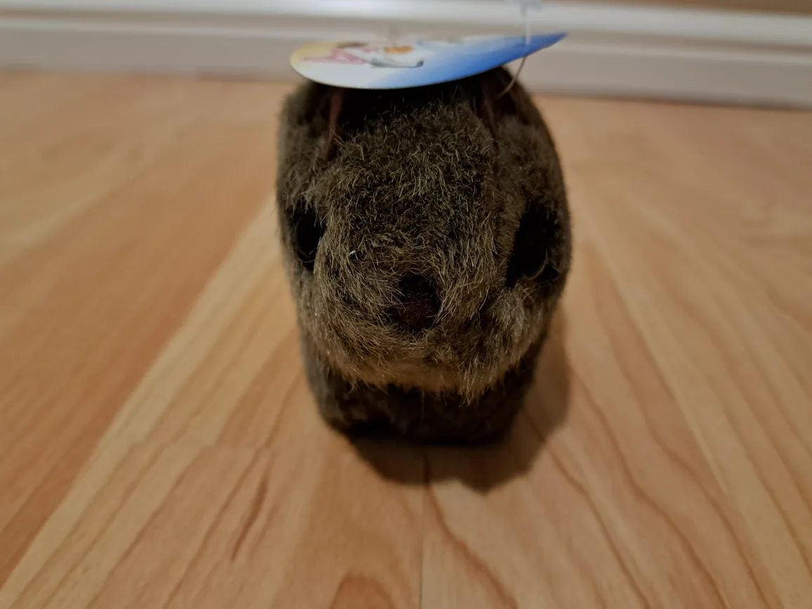 Adorable Plush Wombat Toy 4.5" image indicator(5)