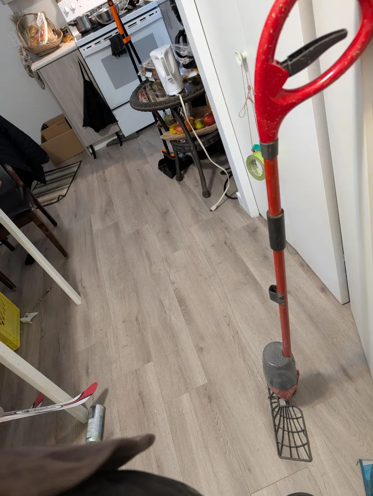 💚 #free Steamer and Spray Mop #freecycle image indicator(2)