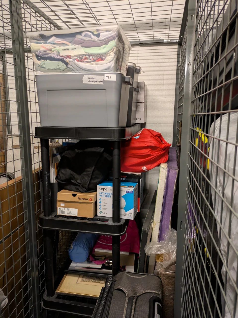 Large Plastic Storage Shelf  ✨ MOVING SALE ✨ image indicator(2)