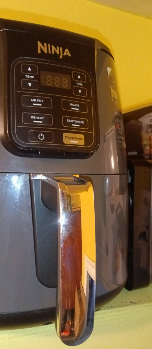 Ninja Air Fryer