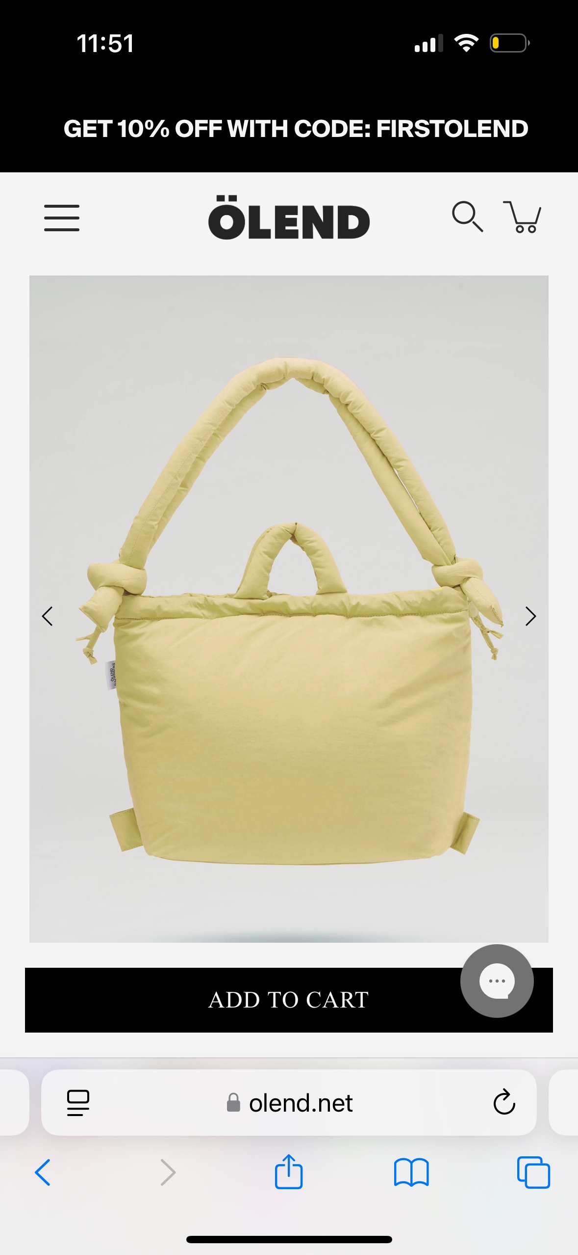 Brand new Olend Bag