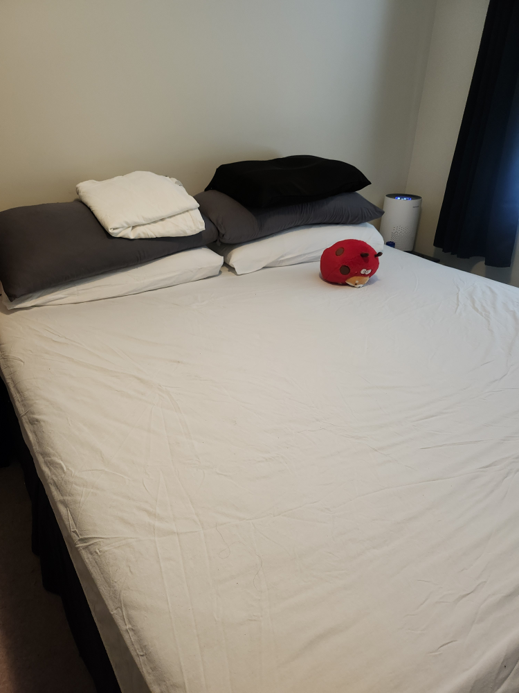 King Size Bes from sleep country
