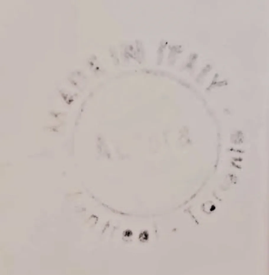 Vintage Italian Hand-Painted Grape Bowl image indicator(6)