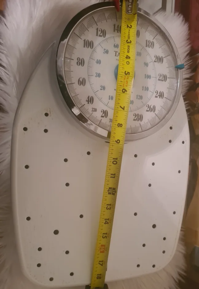 Vintage Taylor Professional Scale image indicator(4)