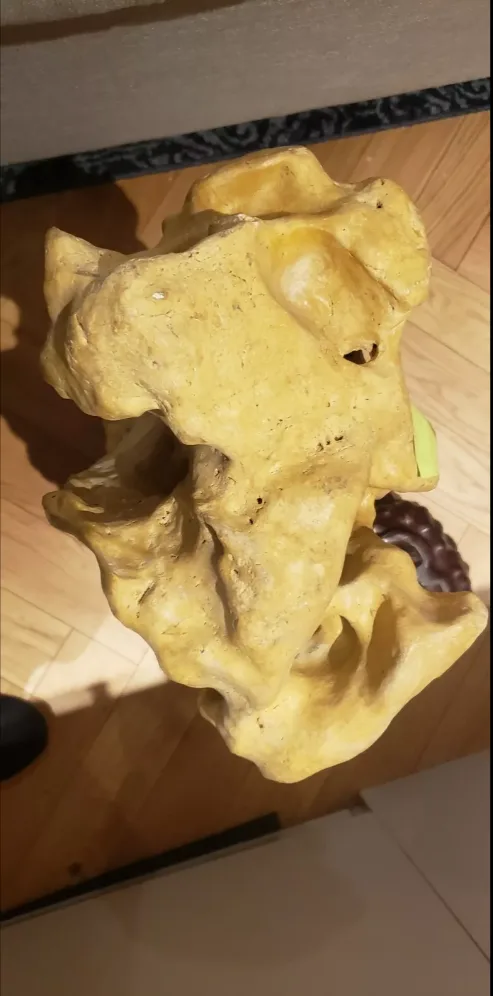 Unique Scholar Stone Sculpture on Wooden Base image indicator(3)