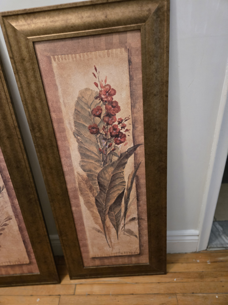 Pair of Framed Botanical Prints 41"×18" - photo 5