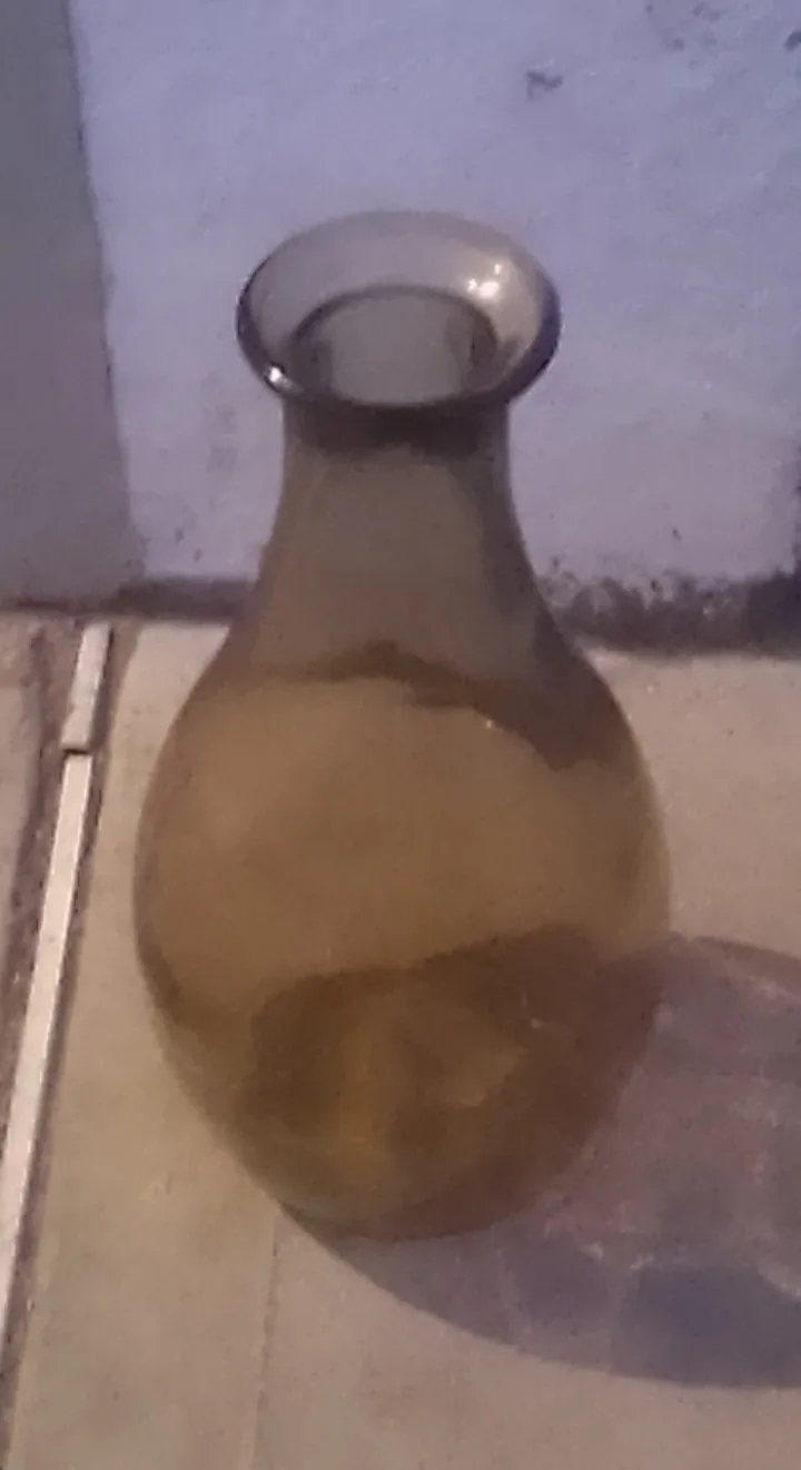 Brown Glass Vase 🧡 image indicator(2)