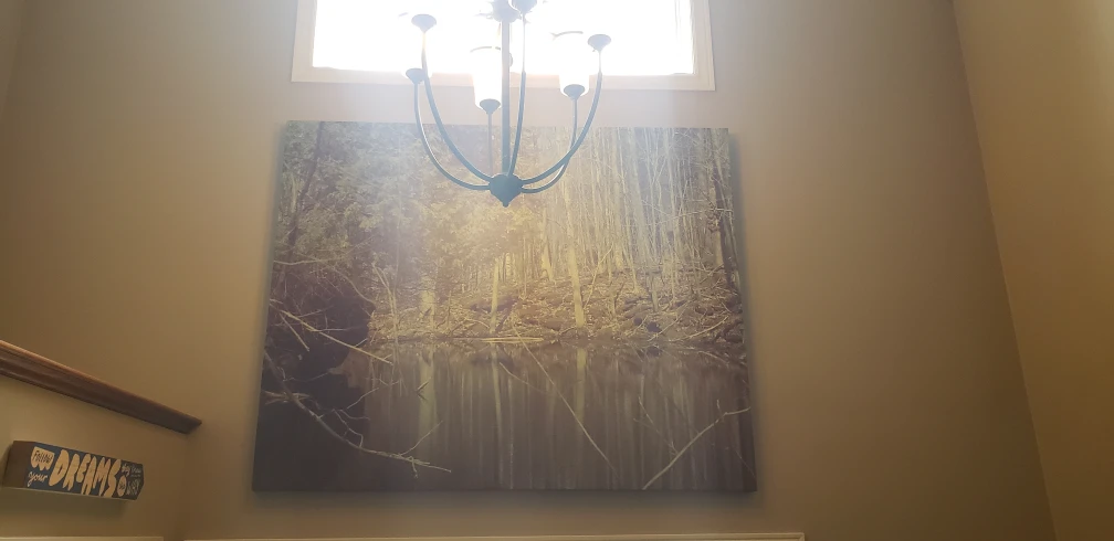 Large Canvas Wall Art - Forest Reflection - photo 2