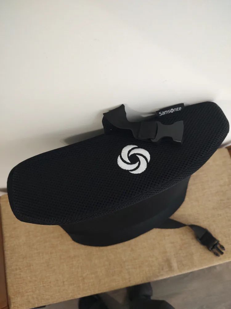 Samsonite Black Mesh Lumbar Support Cushion image indicator(2)