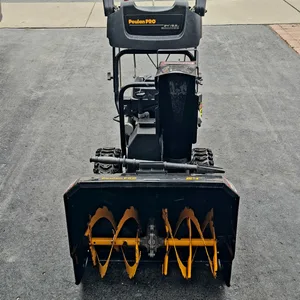 Poulan Pro 24