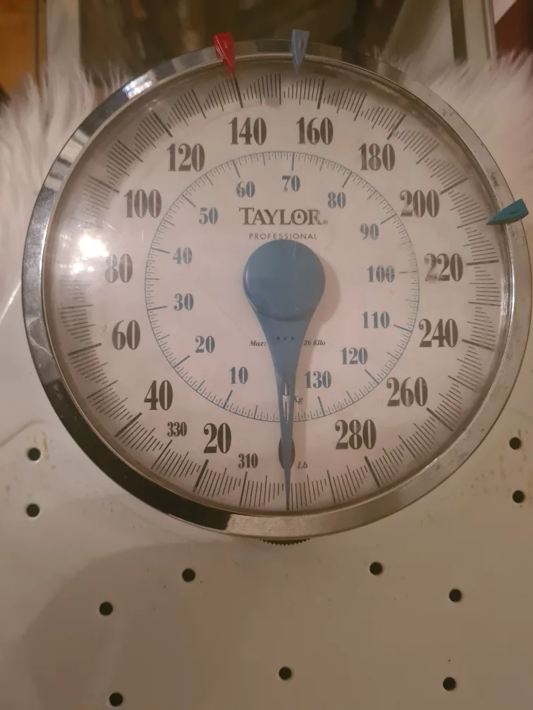 Vintage Taylor Professional Scale image indicator(3)