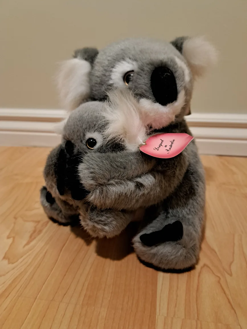 9"  Koala Mother and Son Plush Set image indicator(2)