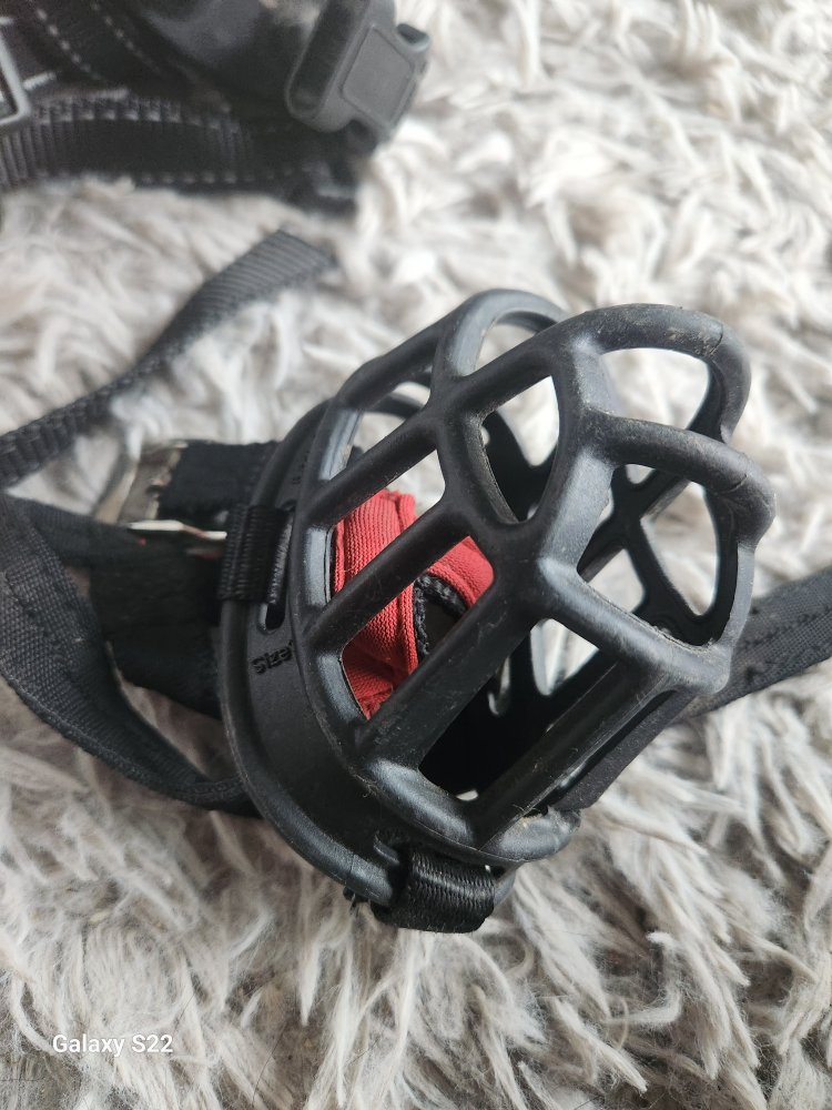 Dog Training Package: Collars, Remote, Harness & Muzzle - photo 5