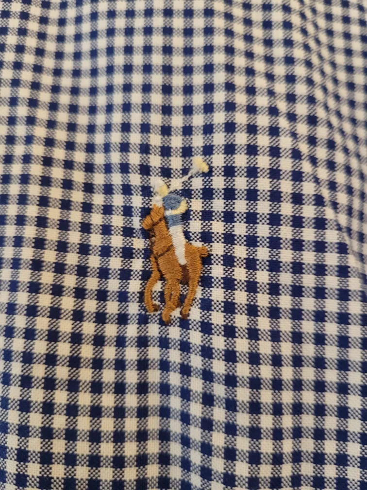 Men's Ralph Lauren Gingham Button-Down Shirt - Size 18 image indicator(2)