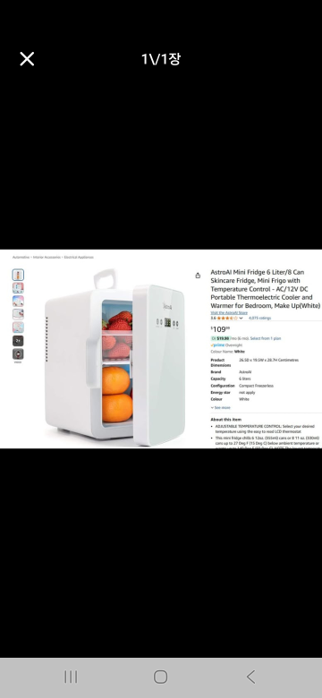 AstroAl Mini Fridge - 6 Liter Portable Cooler & Warmer