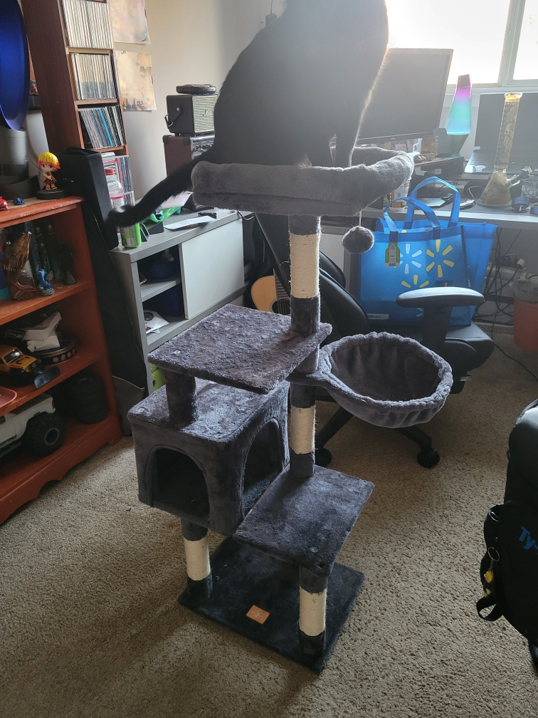 Cat Tree Condo