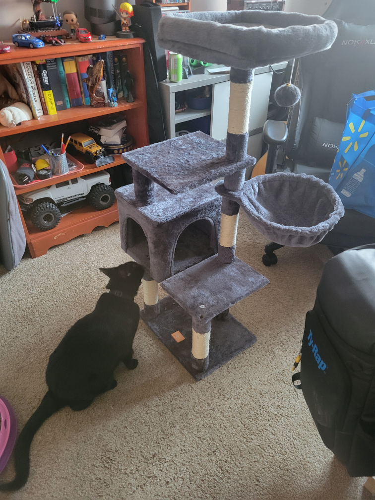 Cat Tree Condo - photo 2