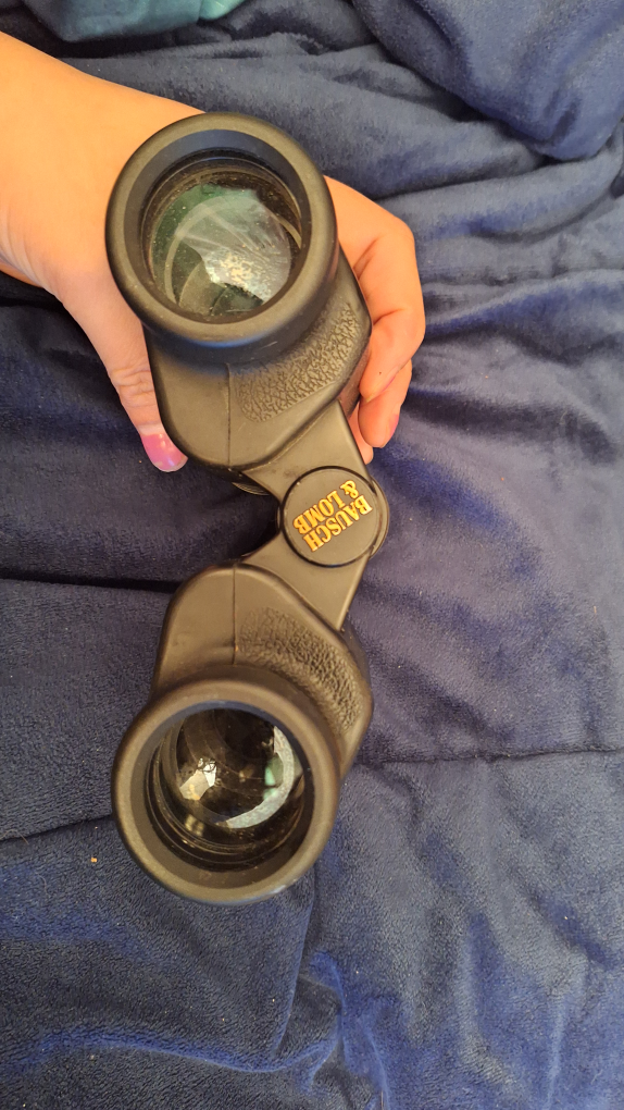Vintage Bausch & Lomb Binoculars