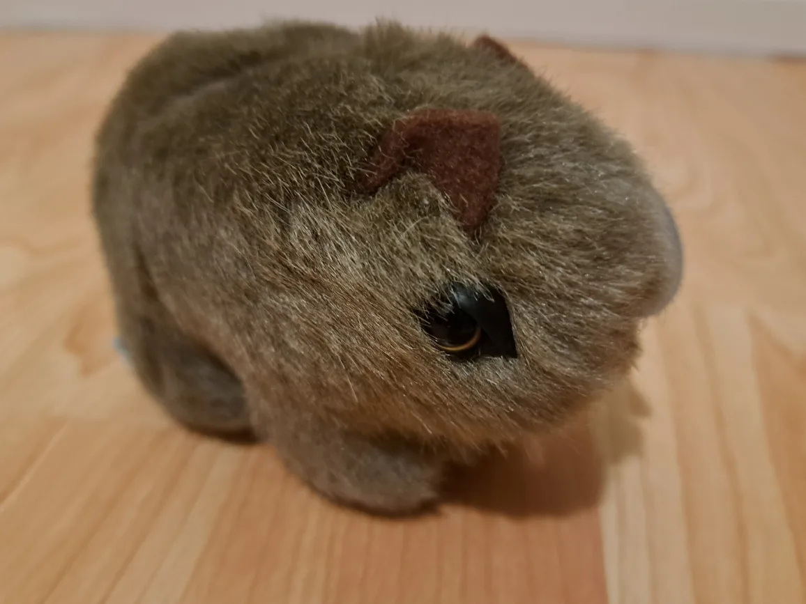 Adorable Plush Wombat Toy 4.5" image indicator(6)