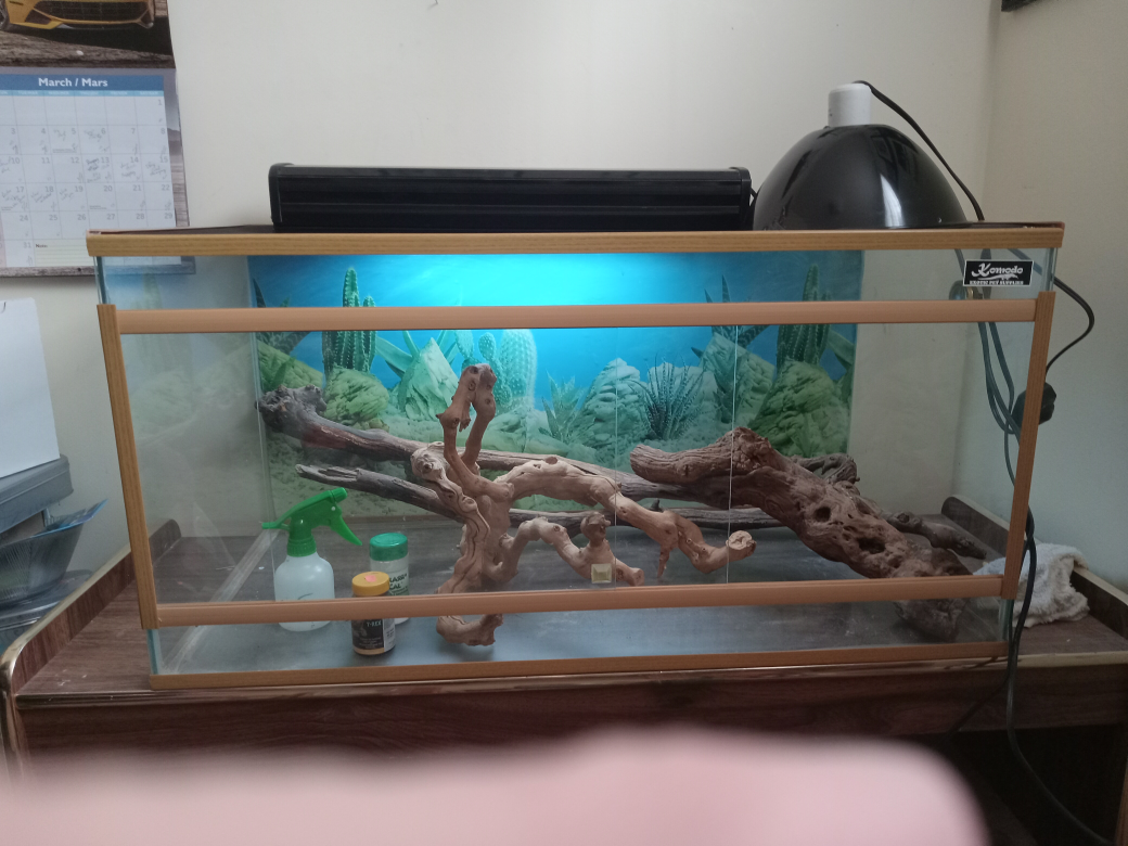 Fifty Gallon Starter Kit - Enclosure, Accessories & Books
