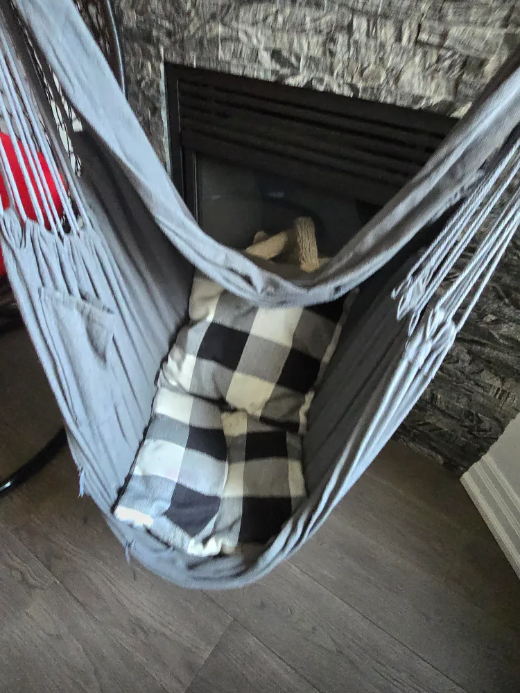 Grey Hanging Chair Hammock thumbnail