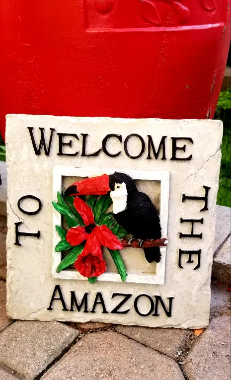 Welcome to the Amazon Toucan Stepping Stone image indicator(3)