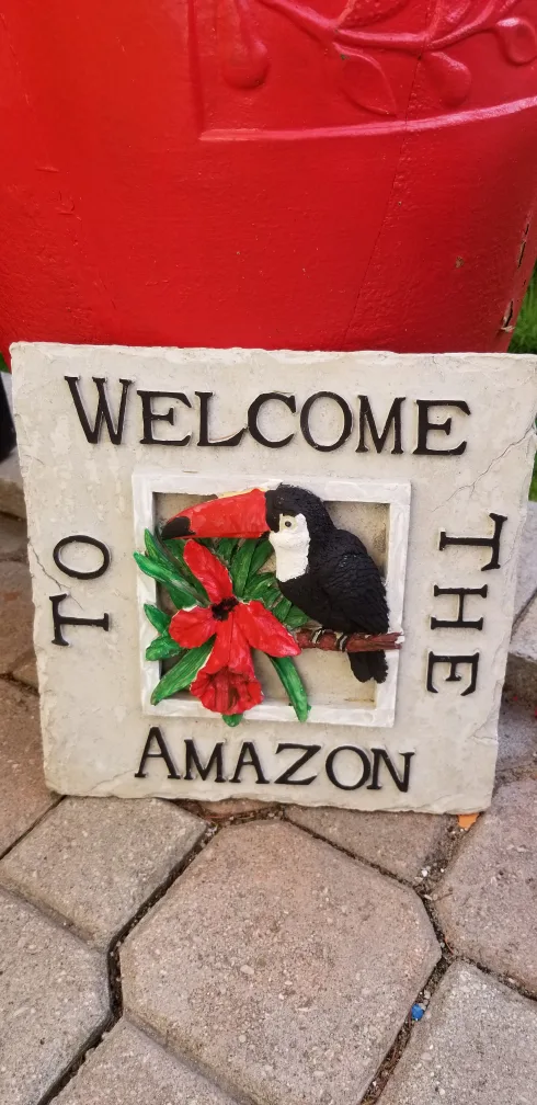 Welcome to the Amazon Toucan Stepping Stone image indicator(5)