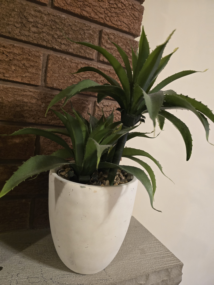 Artificial Plants Set of Three