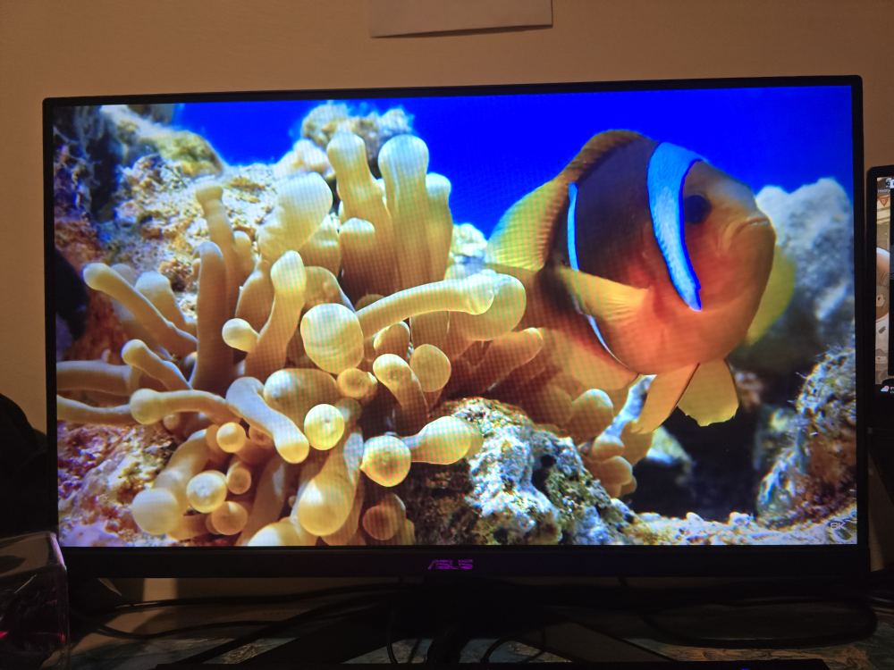 ASUS Gaming Monitor VG277Q1A