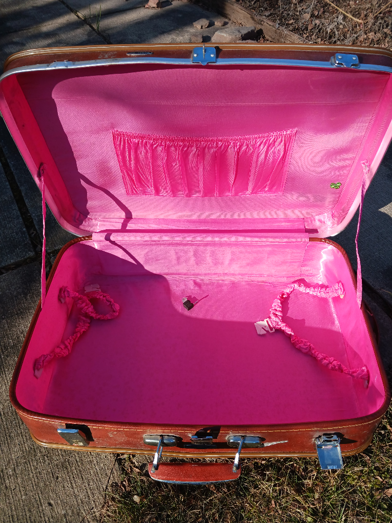 #freecycle Travel or storage case with locker - photo 3