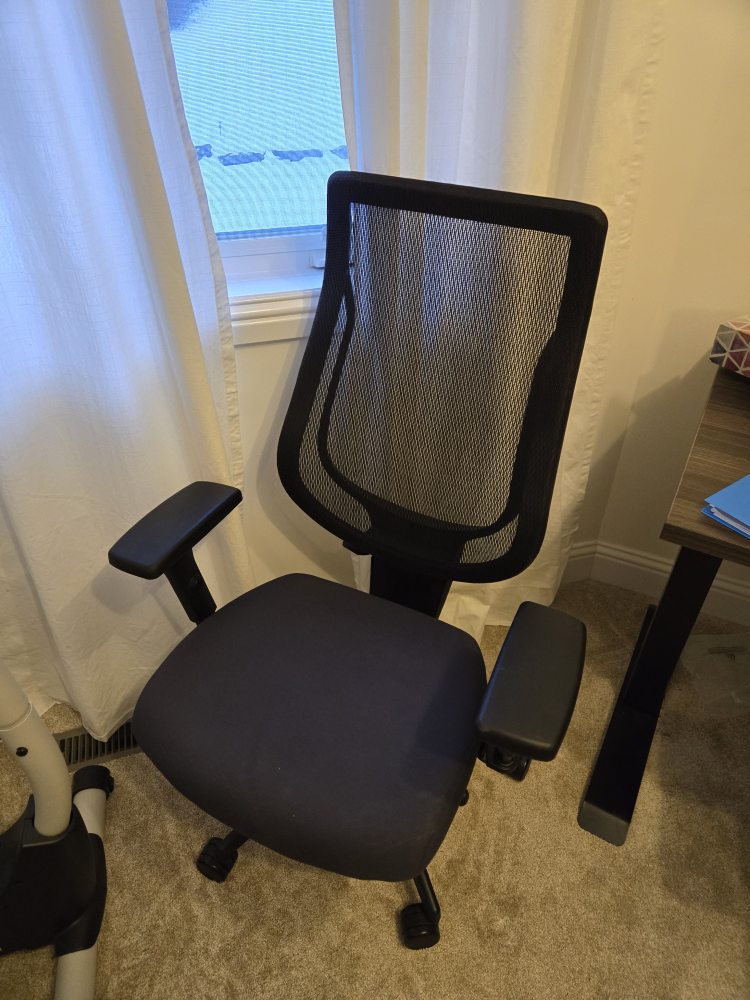Office Chair - Mesh Back, Adjustable Arms