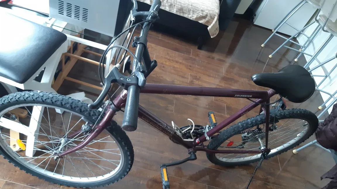 Men bike 26 " tire 21.5" xl frame, tune-up ready to ride image indicator(5)