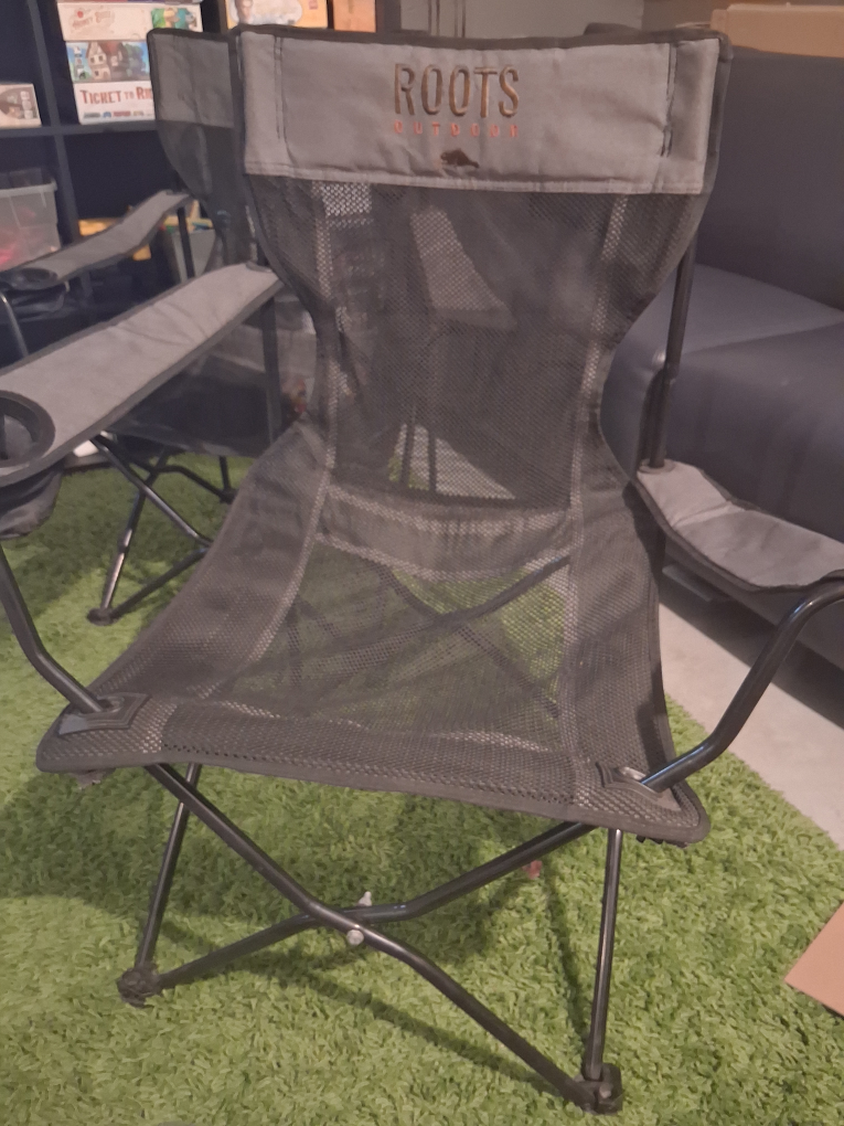 Roots Outdoor Folding Chairs- 2