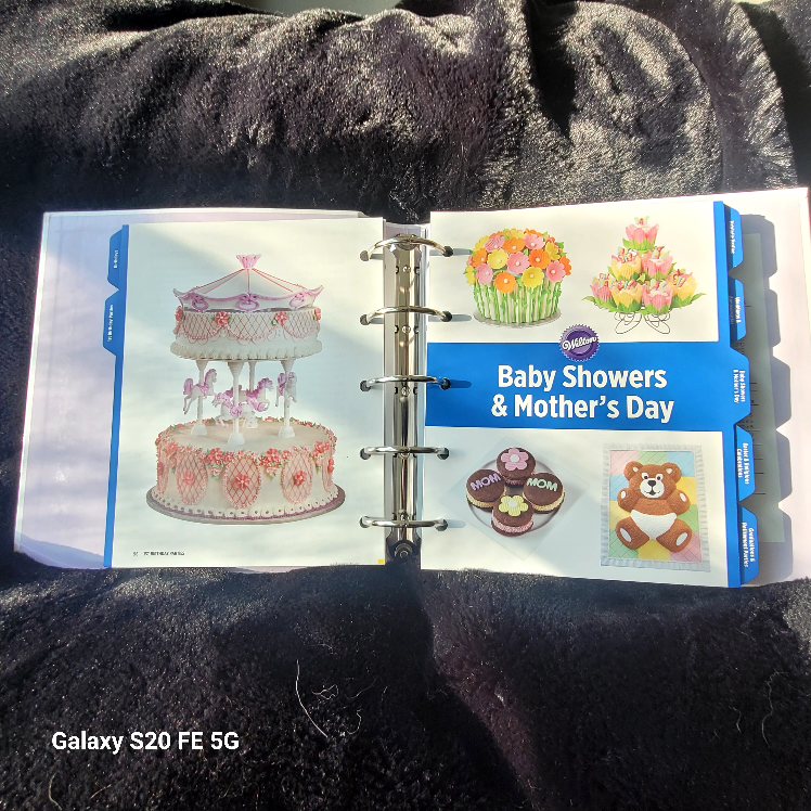 Wilton Ultimate Treat & Decorating Collection Binder - photo 3