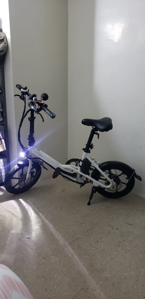 Folding Electric Bike