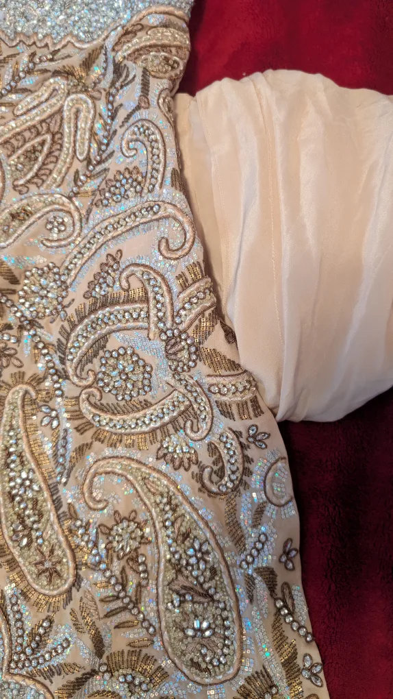 Beaded and Embellished Kameez image indicator(4)