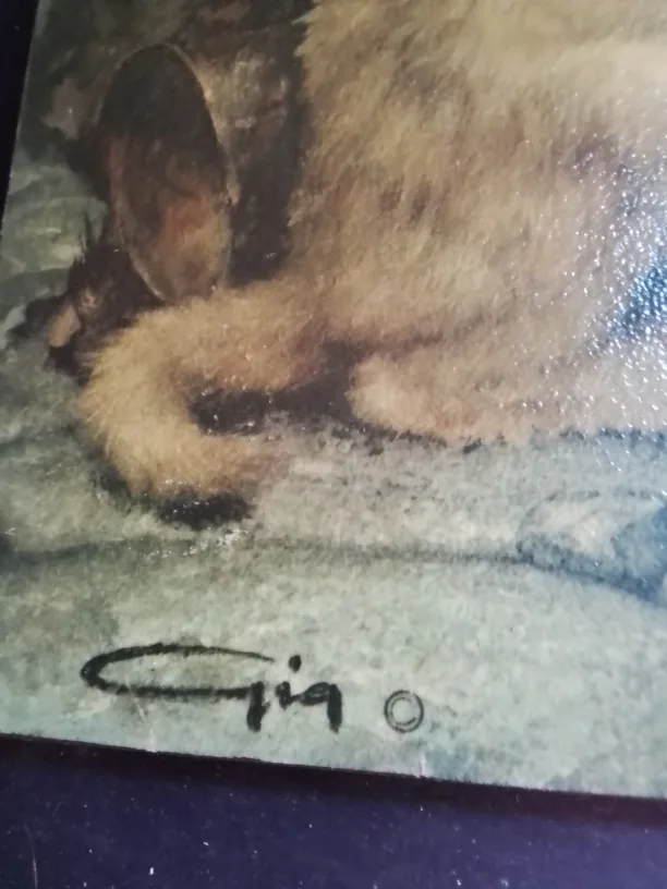 Vintage 1960s Pity Puppy by Gia image indicator(3)