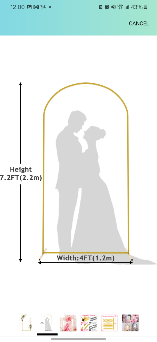 Gold Metal Arch Wedding Backdrop - photo 3