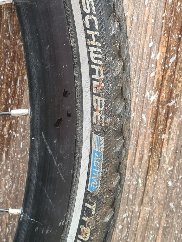Norco 700c wheel with Schwalbe tire image indicator(3)