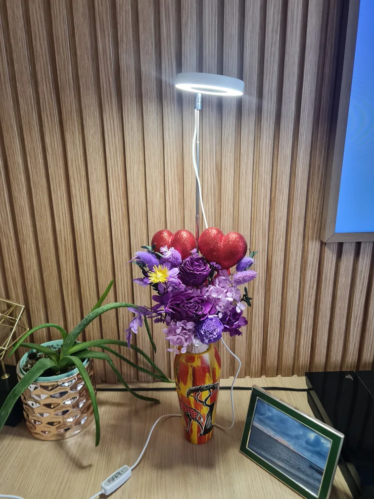 LORDEM Plant Grow Light with Adjustable Stand image indicator(5)