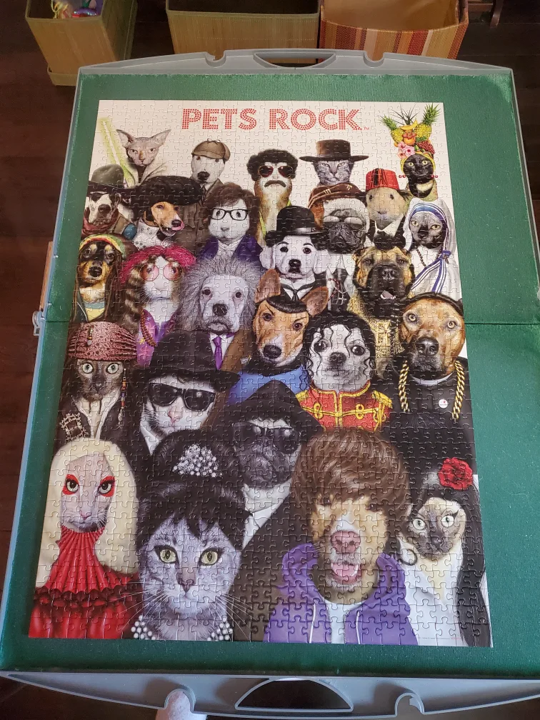 PETS ROCK PUZZLE image indicator(2)